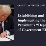 Establishing and Implementing the President’s Department of Government Efficiency