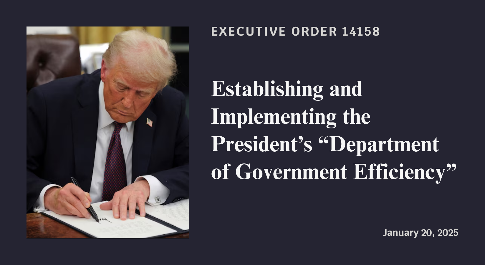 Establishing and Implementing the President’s Department of Government Efficiency